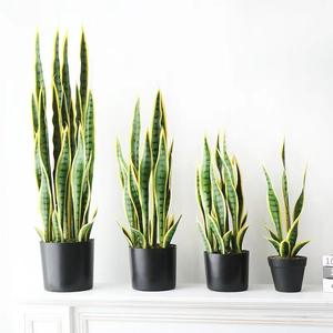 <span class=keywords><strong>Planta</strong></span> <span class=keywords><strong>Artificial</strong></span> Realista <span class=keywords><strong>de</strong></span> Plástico con Borde Amarillo, Sansevieria <span class=keywords><strong>Artificial</strong></span> sin Mantenimiento para Decoración <span class=keywords><strong>de</strong></span> Jardín y Paisaje - Product Image 3