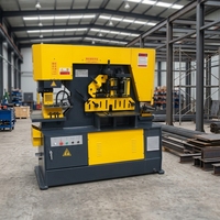 Máquina Punzonadora y Cizalladora Hidráulica CNC Combinada, Máquina Punzonadora Hidráulica para Hierro, Punzonadoras Hidráulicas para Hierro