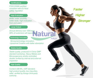 800 maglia creatina monoidrato polvere micronizzata creatina monoidrato etichetta personalizzata creatina monoidrato - Product Image 5