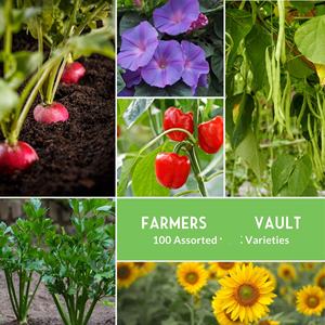 Lot de 100 variétés de légumes et <span class=keywords><strong>d</strong></span>'herbes anciennes non-OGM pour la survie à domicile et la culture en terrariums de jardins de guerre - Product Image 3