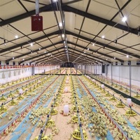 Gallinero para Producción de Huevos, Diseño de Nave Avícola, Construcción para Granja Avícola
