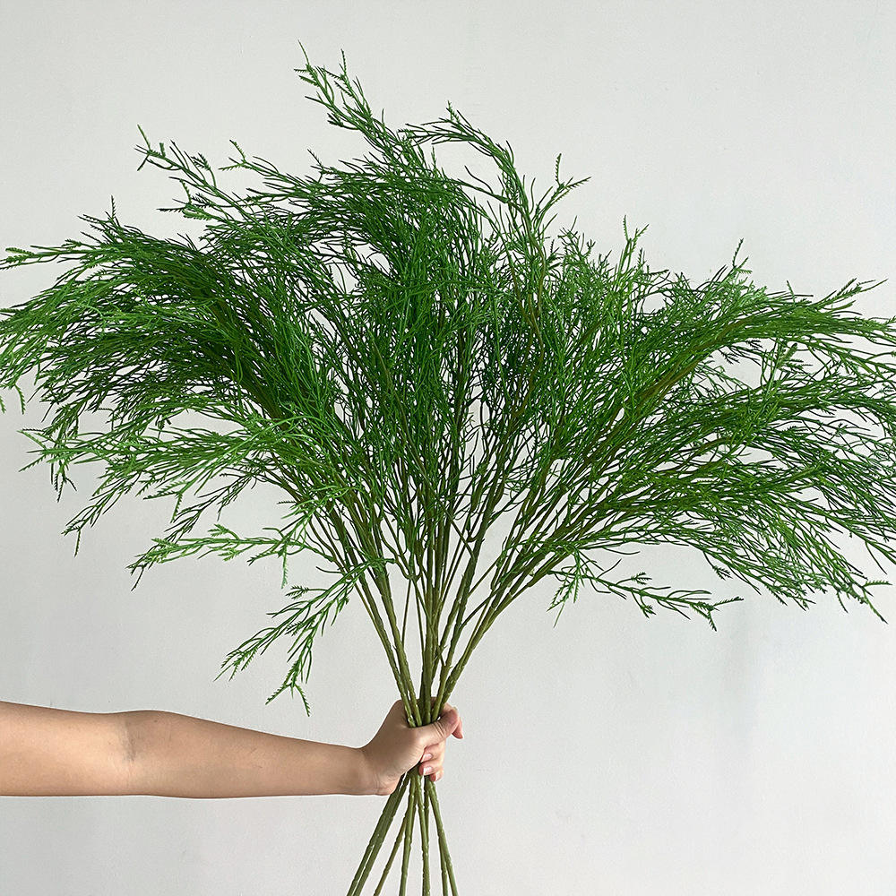 Rod asparagus-5 sticks