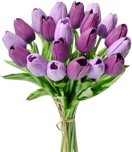 Nuances de violet
