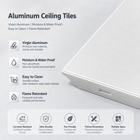 Panneau de plafond en aluminium rainuré et langueté, ventilé, pour bardage extérieur de toiture