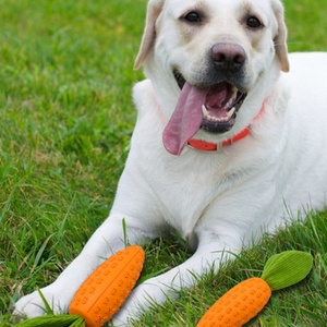 Wholesale golden retriever sex Of Various Types For Sale - Alibaba.com