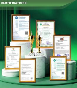 Capsule de chlorophylle avec feuille de persil biologique, capsules magiques pour le corps, capsule de chlorophylle, vente chaude sur TikTok, source d'usine OEM - Product Image 6