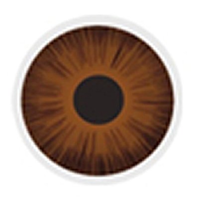 Протезированные линзы, красивые контактные линзы для слепых искусственных контактных линз, размер 14 мм