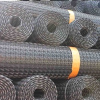 Renforcement des routes Stabilisation des sols en plastique PP Géogrille d'allée biaxiale pour la construction de routes de terrassement