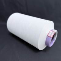Fil à coudre en polyester filé à bas prix TFO 2400TPM 40/2 5000 yards pour la couture