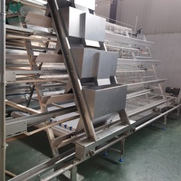 Système entièrement automatique Hightop pour élevage avicole, cages en batterie de type A en fil galvanisé pour poules pondeuses, à vendre