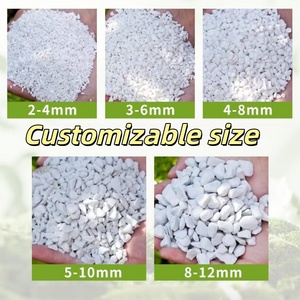 <span class=keywords><strong>Perlita</strong></span> Expandida Fina de Bajo Contenido de Polvo 1-3mm, <span class=keywords><strong>Perlita</strong></span> Hortícola para Germinación de Semillas, Cultivo de Cactus y Sustrato de Cultivo - Product Image 5