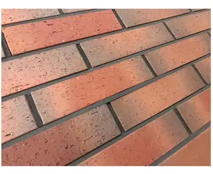 Steinmauer Split Brick Hot Sale Fassade Matte Finish Dekorative Outdoor Clay Bricks Shale Bricks Gebäude Wand dekoration Hollow