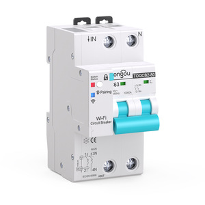 Interruptor de Circuito Inteligente WiFi Tuya 2P 63A con Medición y Reconexión Automática M266 - Product Image 3