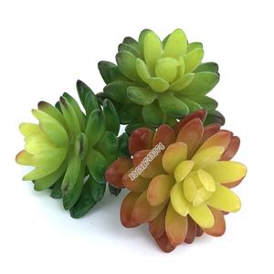 Venta al por mayor de la fábrica de alta calidad mini <span class=keywords><strong>echeveria</strong></span> falso cactus artificiales planta para Decoración - Product Image 4