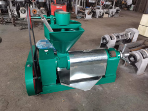 2 tấn mỗi ngày CE phê duyệt dầu đậu phộng pressers Báo Chí lạnh máy dầu HJ-P95 tự động hạt hướng dương vắt dầu - Product Image 2