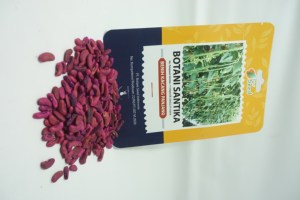 โบตานี ซานติกา: ผู้จัดจำหน่ายเมล็ดพันธุ์ถั่วยาวพันธุ์ผลผลิตสูง ทนทานต่อไวรัส - Product Image 6