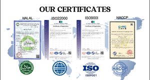 Galleta de Chocolate con Certificación Halal para Exportación a Medio Oriente, Galleta de Chocolate con Textura Crujiente y Sabor a Huevo - Product Image 5