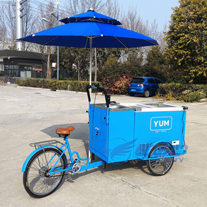 Three-Wheel Ice Food Car Front Freezer Street Food Freezer Bike - Product Image 5