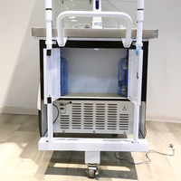 Camion et congélateur de nourriture en plastique, de haute qualité, conception chinoise, pour nourriture glacée, avec kiosque et congélateur