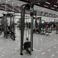 Máquina de Poleas Cruzadas Comercial de Alta Resistencia con Doble Ajuste, Entrenador Funcional con Pesas de Acero de 80 kg, Multi-Gimnasio