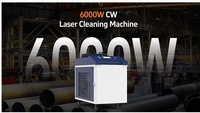 Machine de nettoyage au laser à fibre portative 6000W, refroidissement par eau, pour l'élimination de la rouille, de la peinture et de l'oxyde