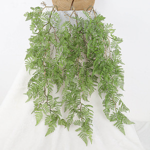 Yu Hong - Guirnalda de Helechos Artificiales para Colgar en la Pared, 100 cm-200 cm, Decoración de Plástico para el Hogar, Ramo de Plantas Colgantes para Techo - Product Image 1