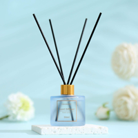 Diffuseurs à bâtonnets d'aromathérapie sans alcool et sans flamme, longue durée, en verre irrégulier, sans BPA, faits à la main, autonomie 1 mois