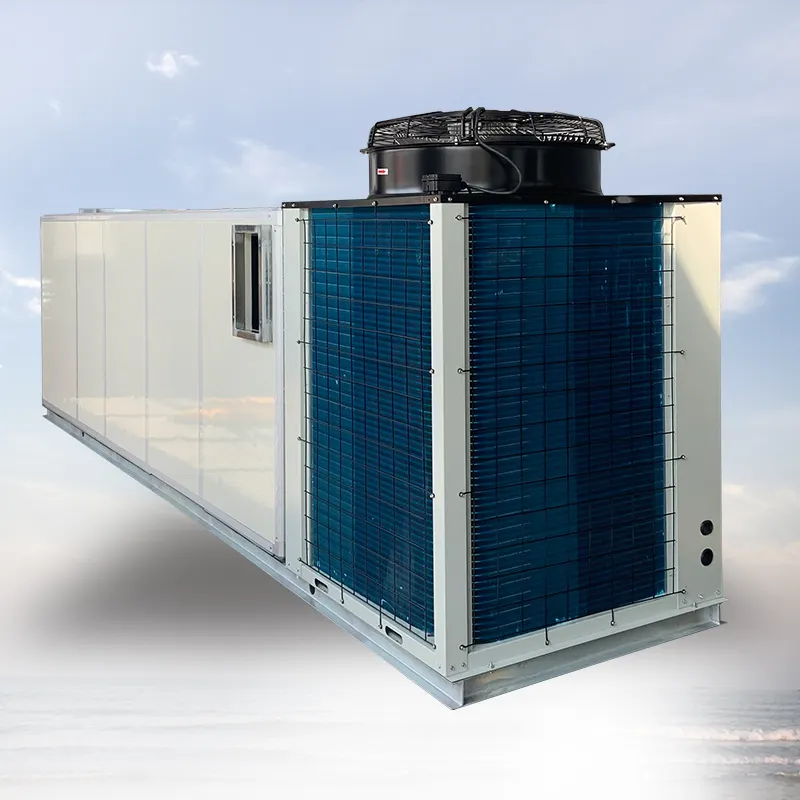 Het Centrale Airconditioning Zuiveringssysteem Daktype Airconditioning Airconditioning Constante Temperatuur En Vochtigheid