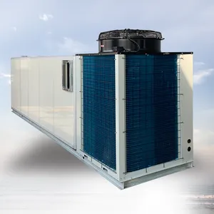 Le système central de purification de l'air conditionné, unité de climatisation de type toit, température et humidité constantes