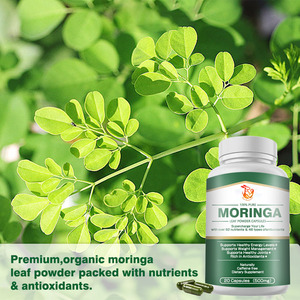 Capsules de Moringa à Marque Blanche pour la Gestion du Poids, Augmentation des Niveaux d'Énergie, Poudre de Feuilles de Moringa Naturelle à Base de Plantes - Product Image 3