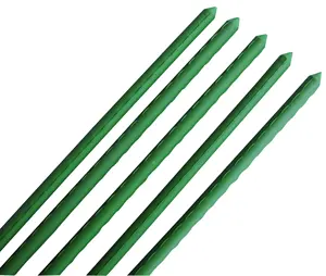 Customized Size Plant Support Stakes PE Coated Metal Garden Stake For Plants