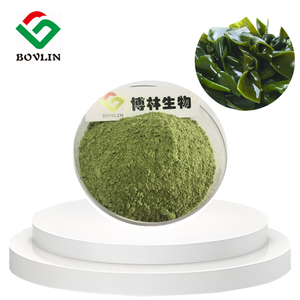 مسحوق مستخلص الطحالب البحرية العضوية بالجملة، مسحوق طحالب بحرية طبيعي عالي الجودة - Product Image 2