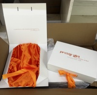 Boîte cadeau rigide en carton avec fermeture magnétique, insert en satin de luxe, logo personnalisé, boîte d'expédition en gros