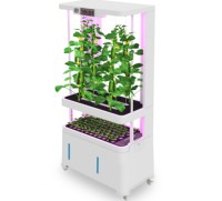 Pot de fleurs en plastique irrigation intelligente automatisée systèmes hydroponiques commerciaux système hydroponique vertical pour cultiver des légumes