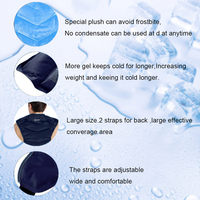 Pack de gel chaud froid multifonctionnel et réutilisable pour le dos Pack froid de glace longue durée pour les blessures