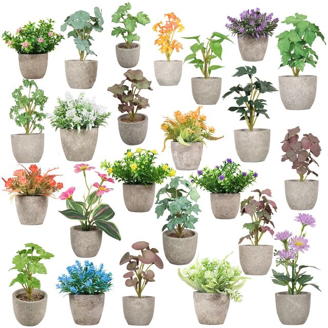 Transparent Plastic Faux Bonsai Small Mini Fake Cactus Potted Succulents Artificial Plant in Pots