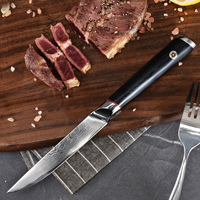 Nouvelle arrivée 4 pièces 5 pouces 67 couches VG-10 couteau à steak damas ensemble de couteaux à steak ultra pointus avec poignée G10