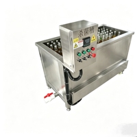 Petite machine de pasteurisation électrique en acier inoxydable pour bouteilles de lait, vin, jus et tomates, avec bocal en verre
