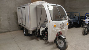 <span class=keywords><strong>Tricycle</strong></span> Motorisé à Essence Réfrigéré avec Chambre Froide, Congélateur, Carrosserie Fermée pour Fret et Livraisons - Product Image 2