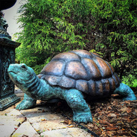 Statue de tortue en bronze patiné antique, sculpture de tortue en bronze faite à la main, représentant une faune sauvage