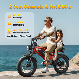 Vélo électrique tout-terrain 48V à pneus larges, deux places, adapté à la neige, livraison directe depuis entrepôt américain, export transfrontalier - Product Image 5