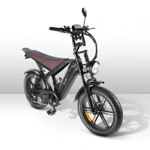 GT20 Adult Mountain Bike 20" Wheel 7-Speed Steel Frame Hydraulic Disc Brakes Lithium Battery 1000W 48V Fatbike - Product Image 1