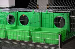 Assurance Commerciale Cages à Lapins d'Occasion à Vendre - Product Image 3