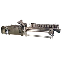 200kg/300kg par heure Ligne de production industrielle de frites surgelées pour pommes de terre frites/chips de pommes de terre
