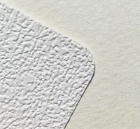 Rouleaux de papier peint texturé 1,07*50m |   Papier peint blanc vierge imprimable en PVC gaufré |   Substrat pour papier peint numérique, texture de sable grossier