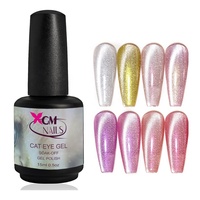 Fournisseur d'ongles OEM Vernis à ongles personnalisé UV Gel Ket Private Label Cat Eye Gel Vernis à ongles 3D