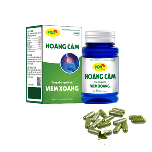 Suplementos herbales Mejor venta Asma Dolor de cabeza Soporte Inmunidad Soporte Scutellaria Baicalensis Cápsulas - Product Image 1