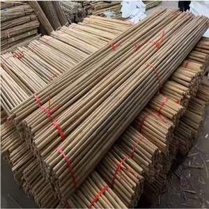 Fabricant vietnamien de piquets en bambou naturel, supports pour plantes agricoles, cannes de jardin pour tomates, vignobles, pépinières, vente en gros - Product Image 2