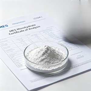 Meishu MES Monoidrato CAS 145224-94-8 99% Polvere Cristallina Bianca Materia Prima Cosmetica EINECS 224-632-3 MF C6H15NO5S - Product Image 3