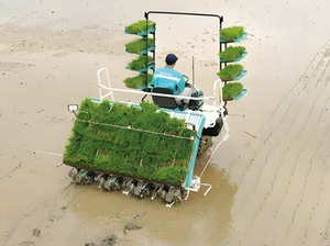 Máy cấy lúa 2zgq-825 máy trồng lúa 4 hàng 6 hàng cấy lúa thủ công - Product Image 3